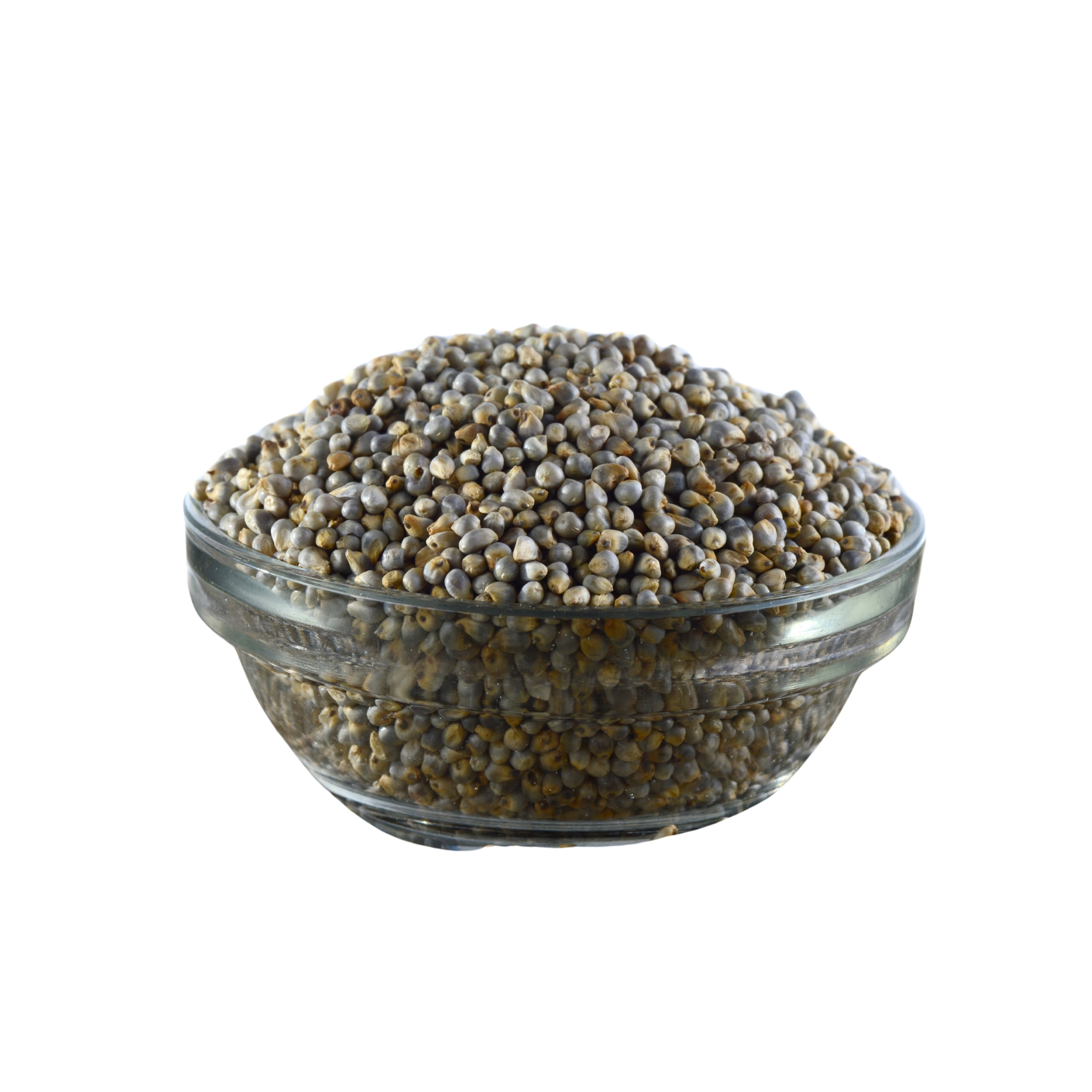 26_20251202_154619_0025