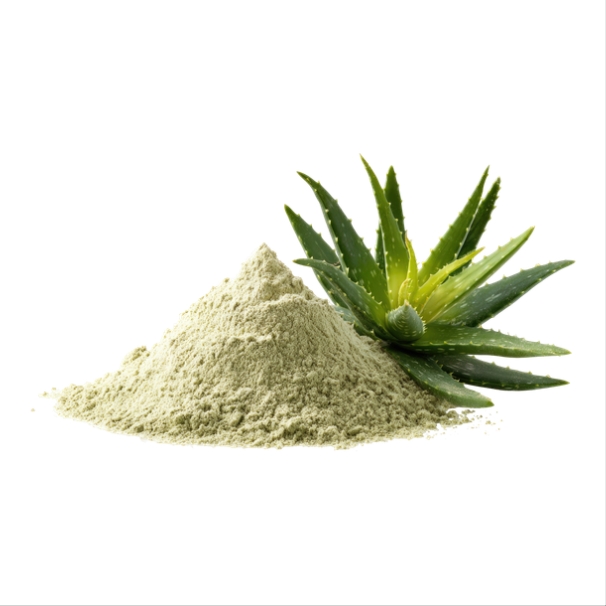 CRUELTY_20251202_163630_0000