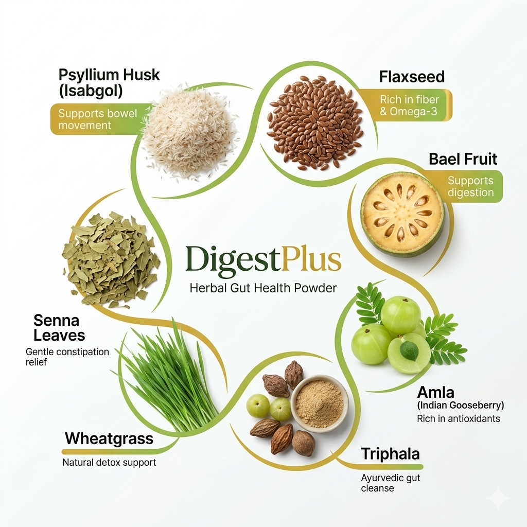 DIGESTPLUS Gut Health & Constipation Relief Powder | Nature Perfect | 300 g - Image 4