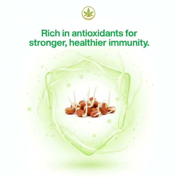 RAGIPLUS Sprouted Ragi Powder | 200 gm