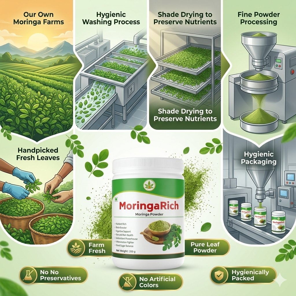 MORINGARICH Moringa Powder | Nature Perfect | 200 gm - Image 3
